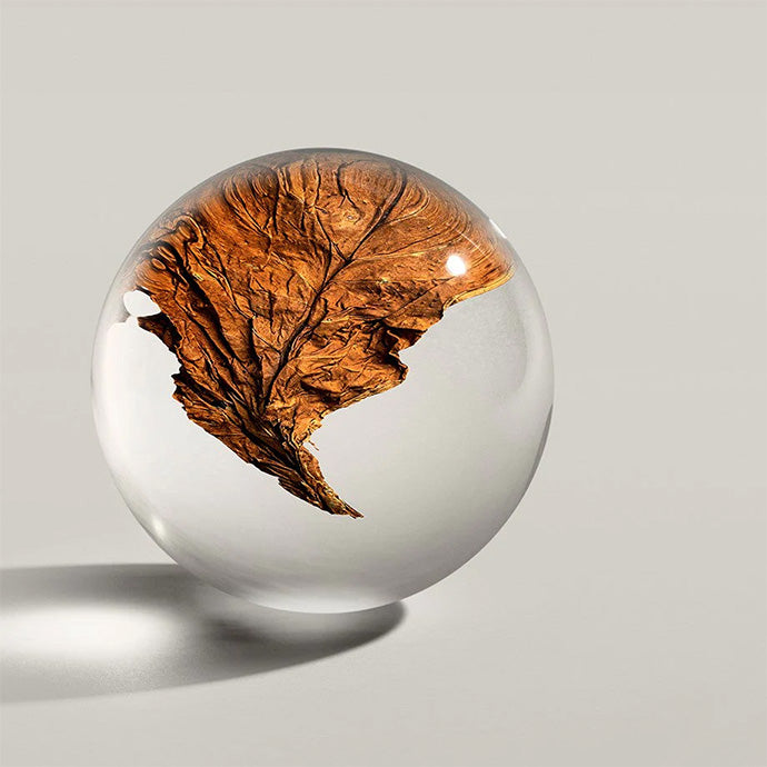 タバコアブソリュート オードトワレ