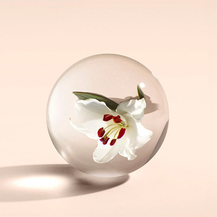 ジンジャーリリー オードトワレ