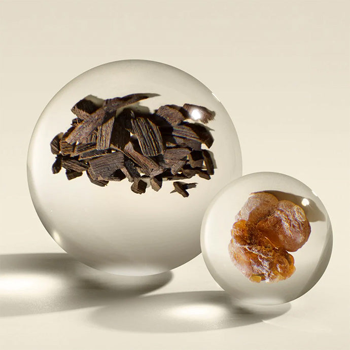 ウード・アコード&ゴールド オードパルファン