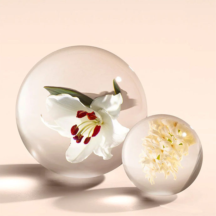 ジンジャーリリー オードパルファン