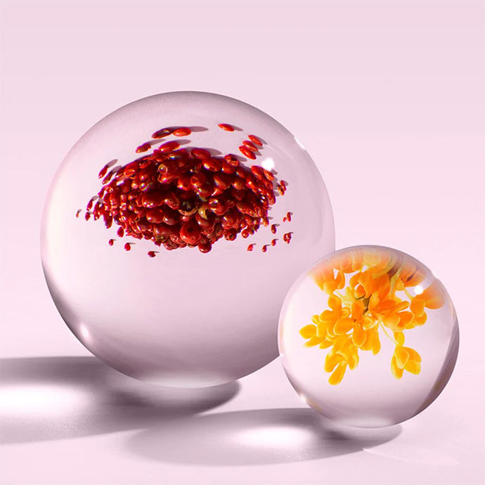 ピンクペッパー オードパルファン