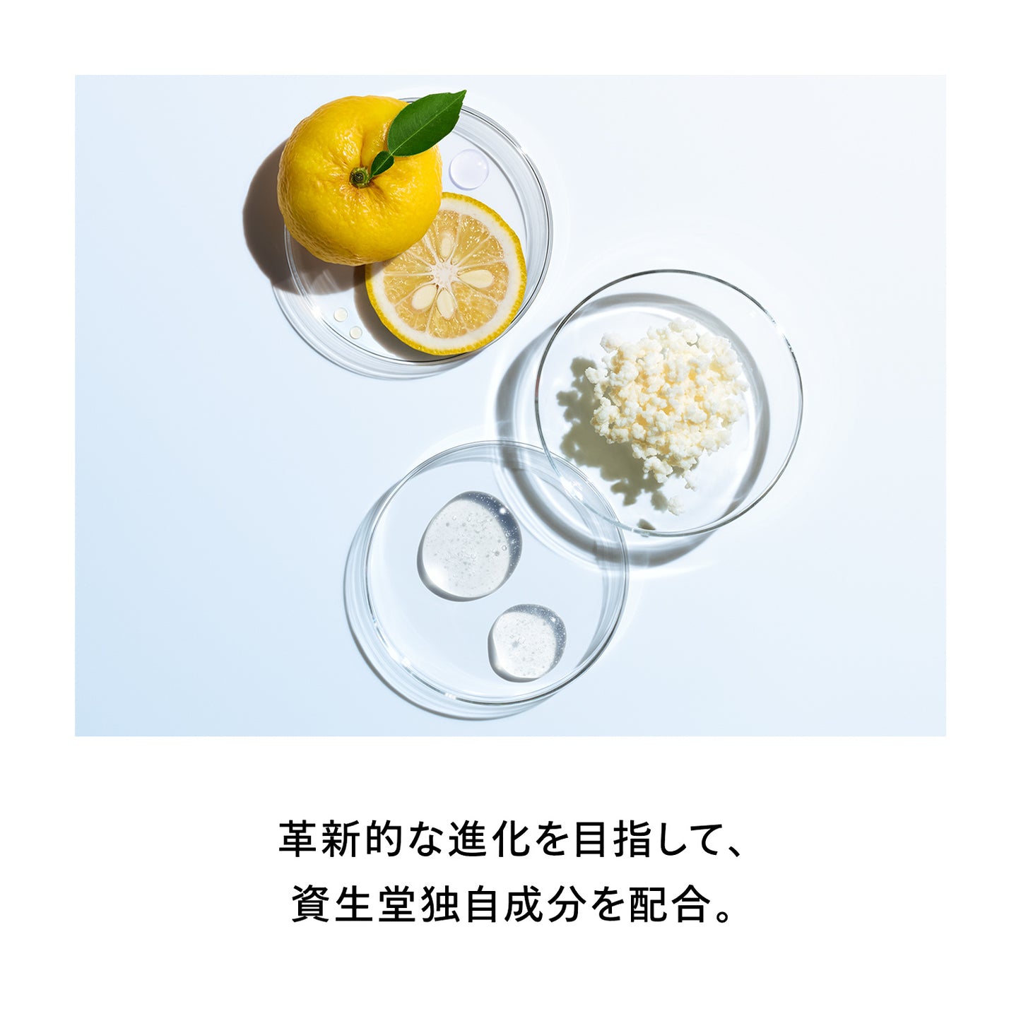 オイデルミン&ファンデーションキット