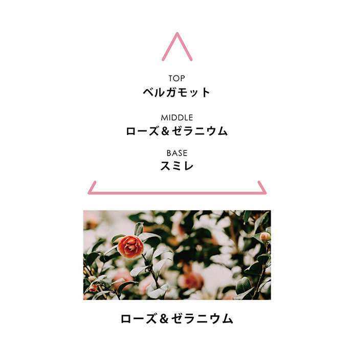 ボタニカルコロン アクアパラディシ 100mL