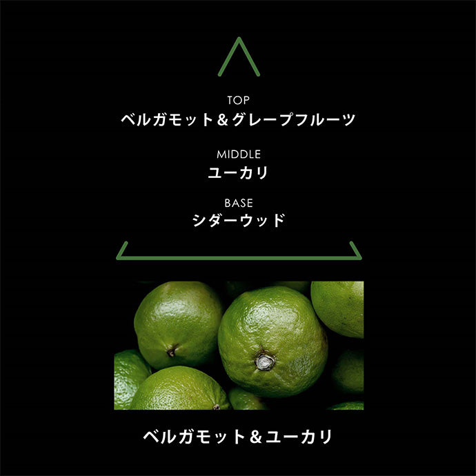 リマーカブル パルファム サンタクルス 100mL