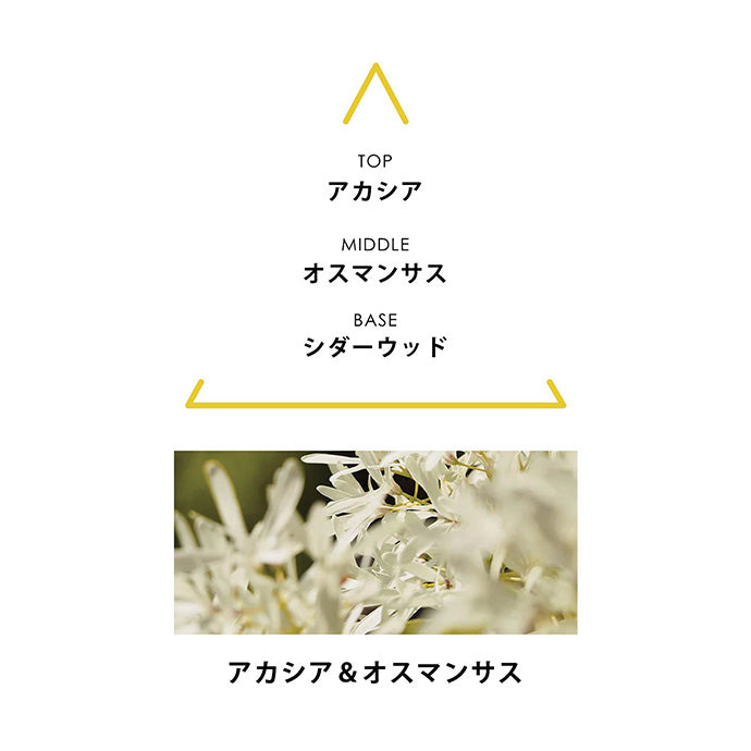 ボタニカルコロン アクアマジェスタエ 100mL