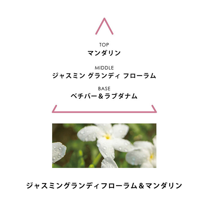 シンギュラー オーデパルファム リサンドラ 100mL