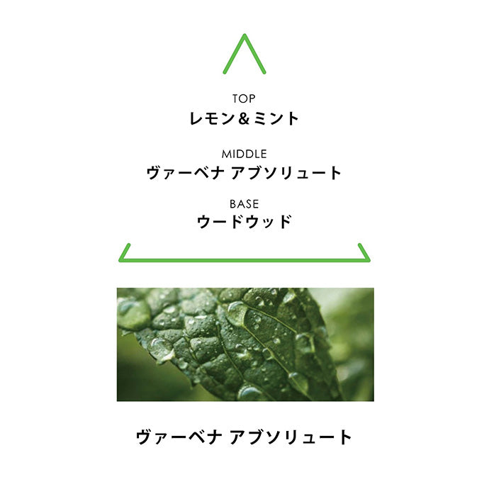 ボタニカルコロン アブソリュート アクアミレフォリア