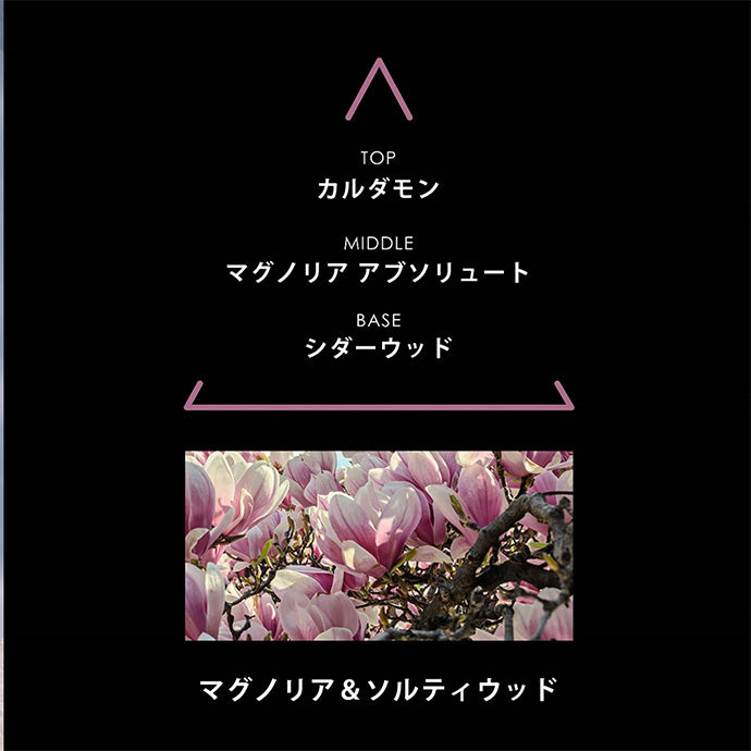 リマーカブルパルファム アノリ 100mL