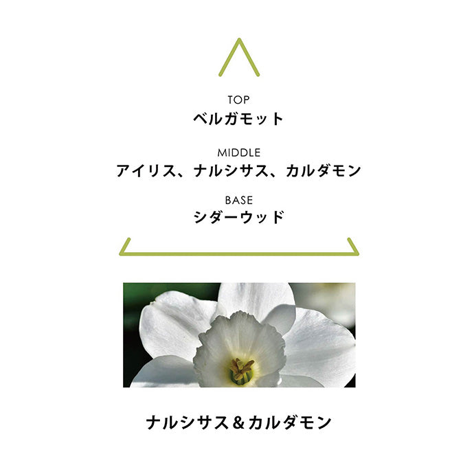 シンギュラー オーデパルファム テリア 100mL