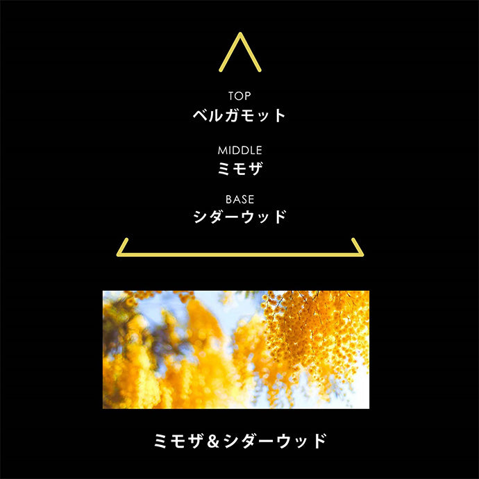 シグネチャー ミモザ 100mL