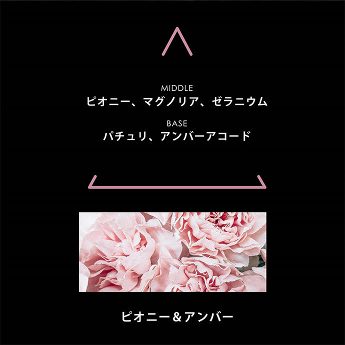 シグネチャー ピオニア 100mL