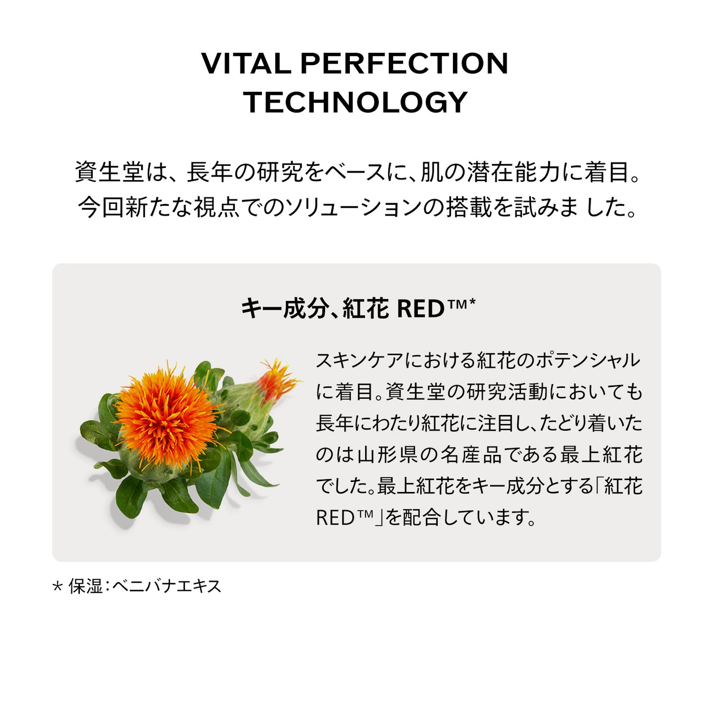 SHISEIDO バイタルパーフェクション Lディファイン ラディアンス ナイトセラム 40mL