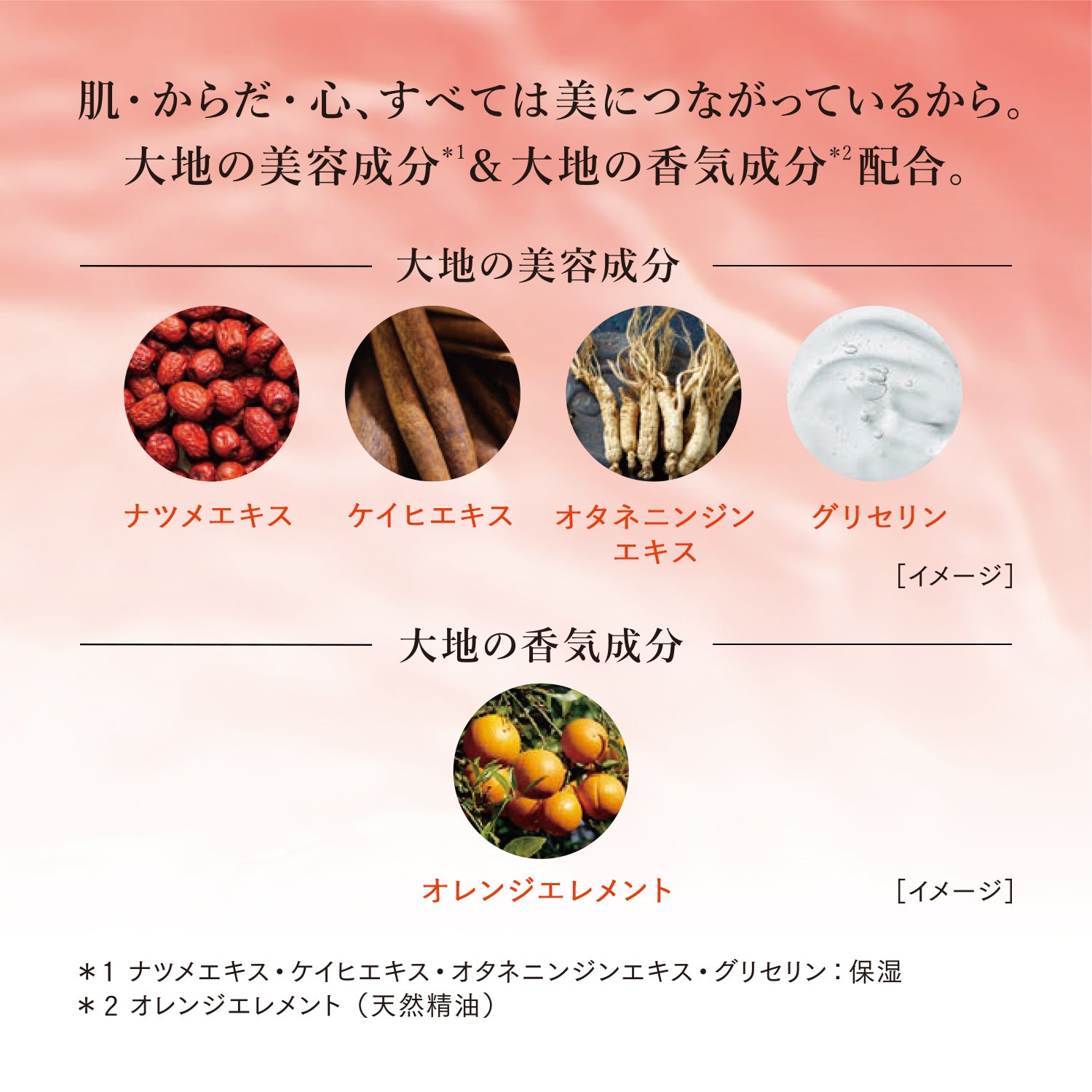 ベネフィーク セラム 50mL