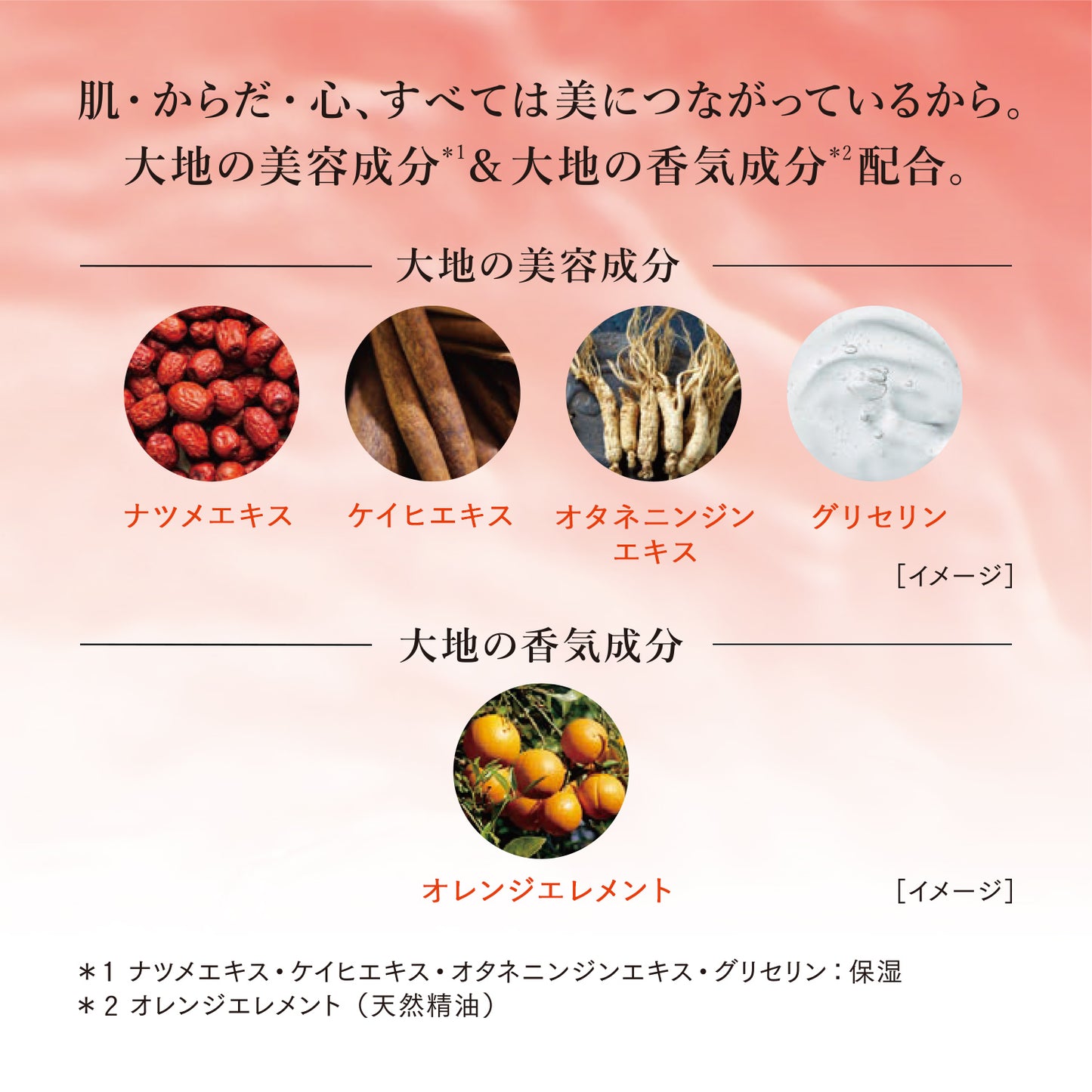 ベネフィーク セラム 50mL〈レフィル〉