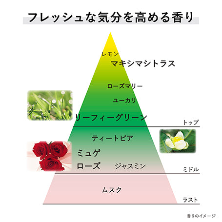 クリーム イン デイ Ⅱ