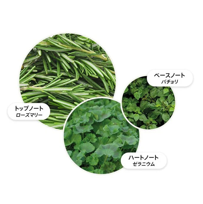 リヴァイヴィング ローズマリー オイルコロン