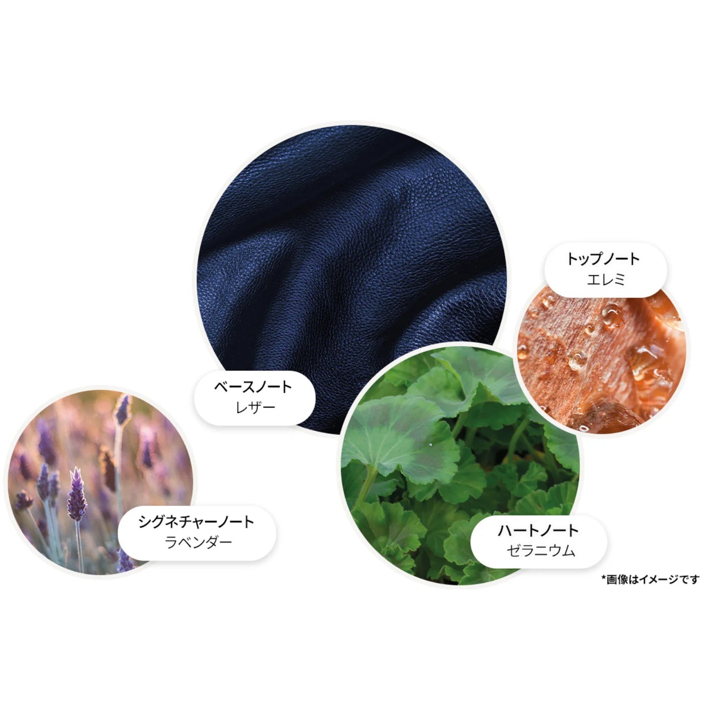 ダークレザー オードパルファン 7.5ml