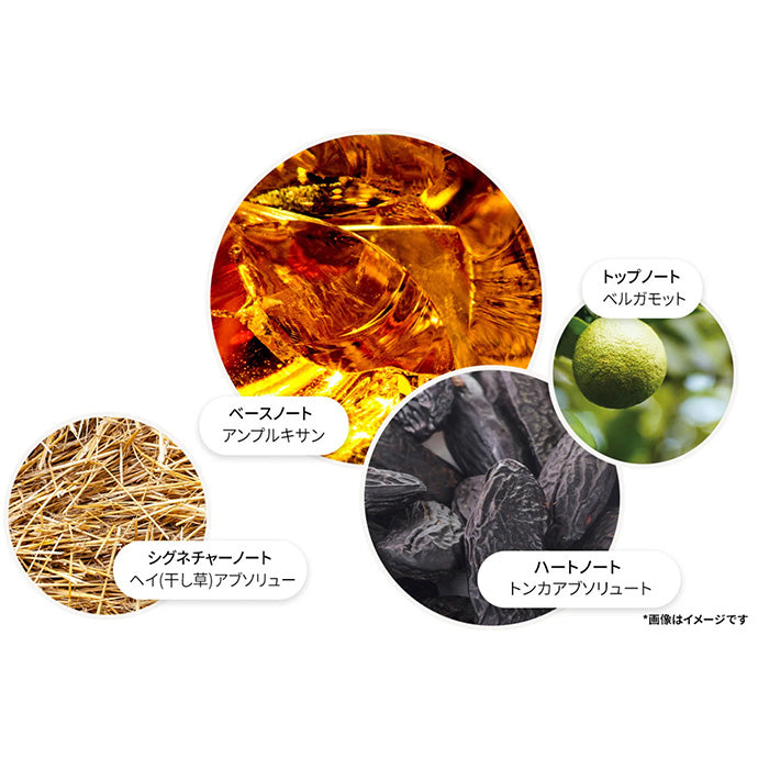 ネオンアンバー オードパルファン 7.5ml