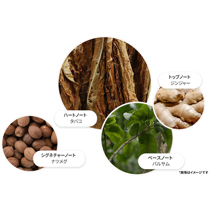 タバコアブソリュート オードパルファン 7.5ml