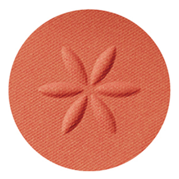AQ アイシャドウ 18 Apricot Orange M