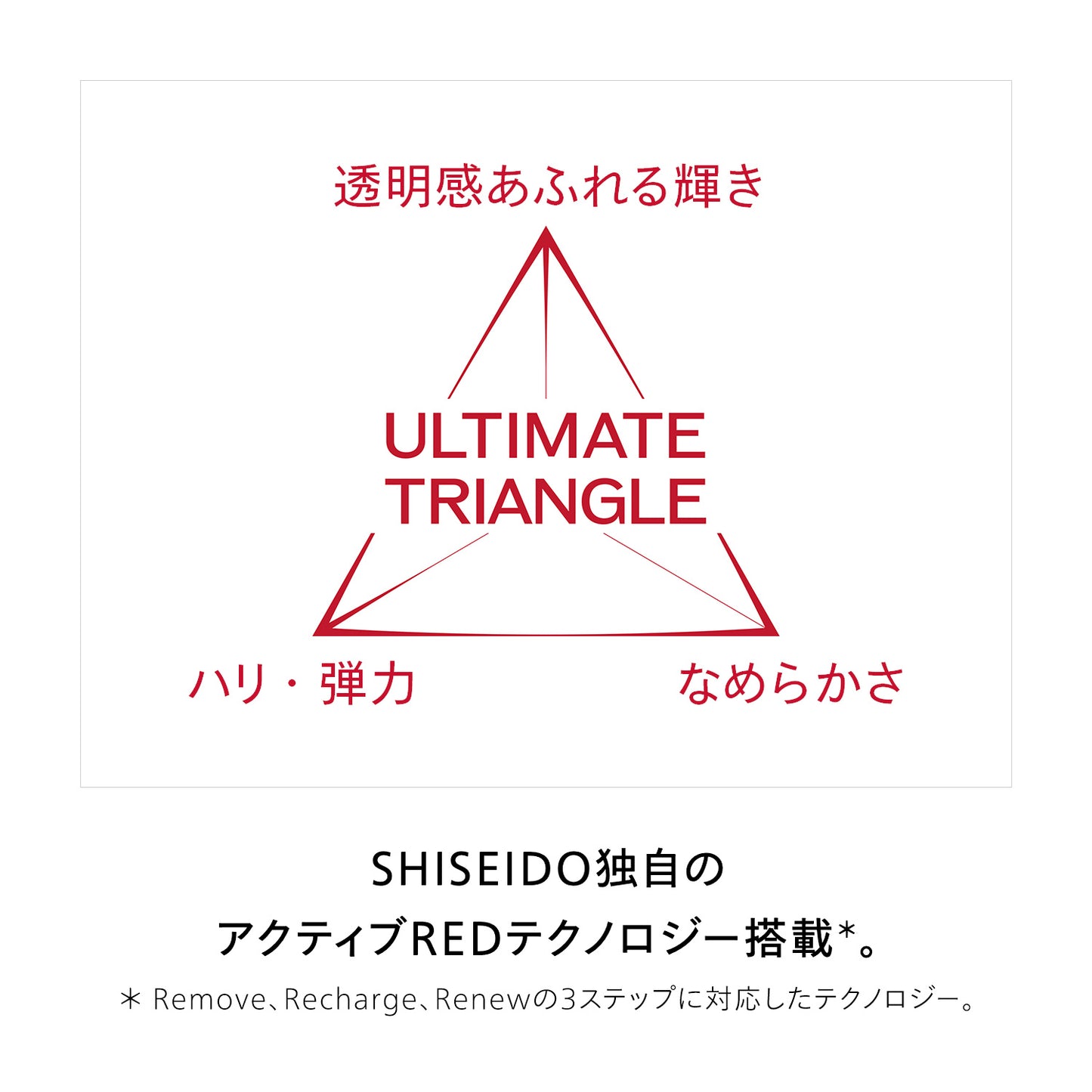 SHISEIDO オイデルミン トライアルキット 145mL