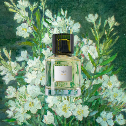 オードパルファム エラエ 100mL