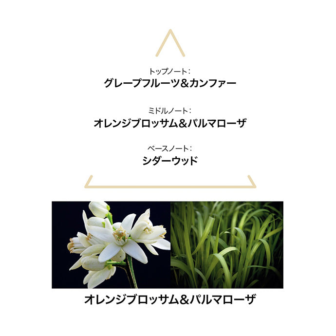 ボタニカルコロン アクアミステリ