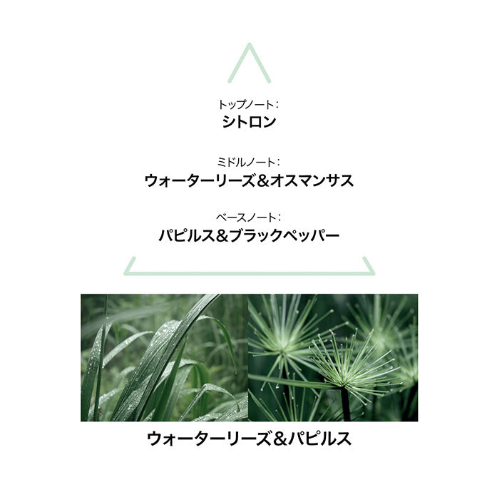 ボタニカルコロン アクアナンファエ 100ｍＬ