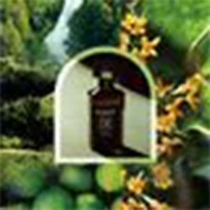 リマーカブル パルファム フーリー 50ｍL