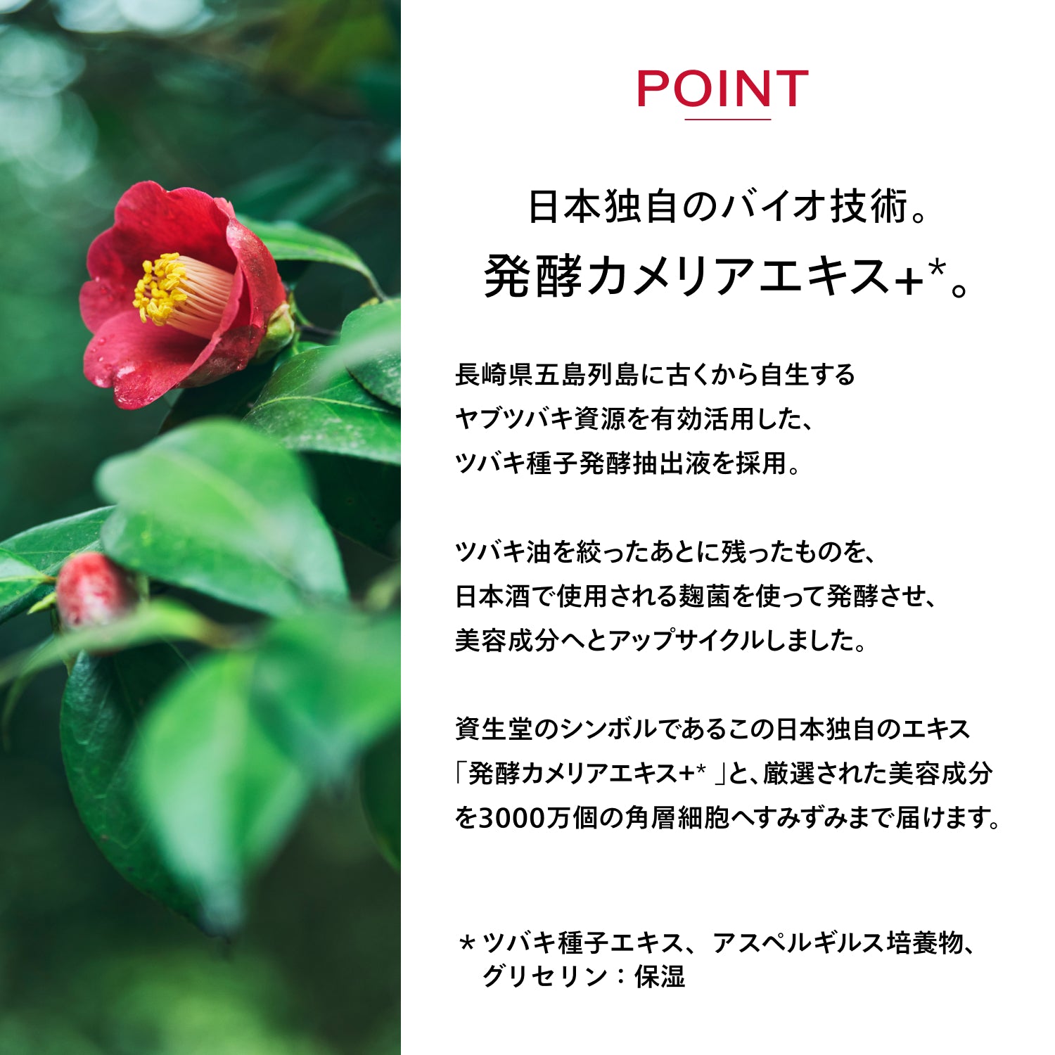 SHISEIDO アルティミューン パワライジング セラム 75mL （レフィル）