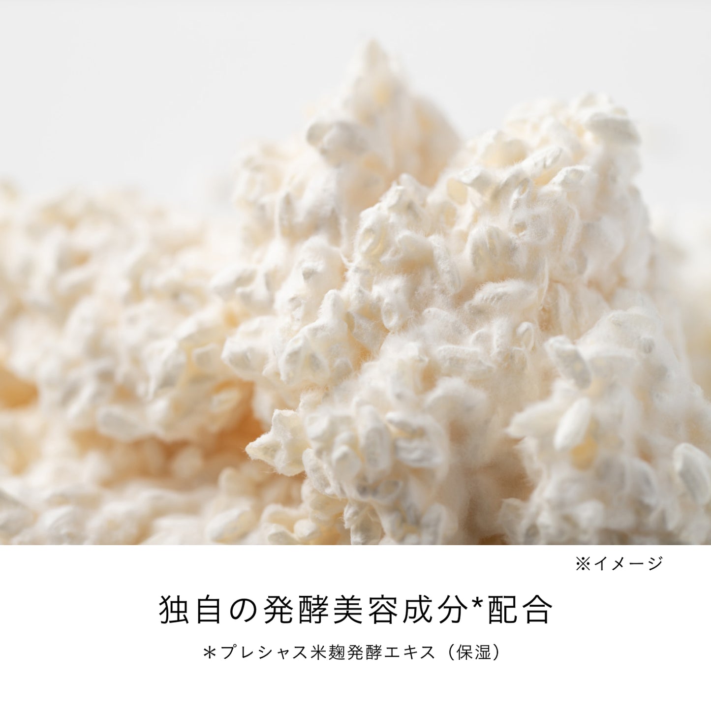 ローションエサンシエルＣ 本体