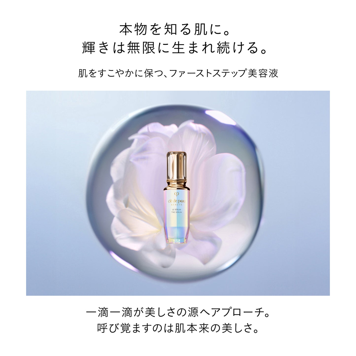 ローションエサンシエルＣ レフィル