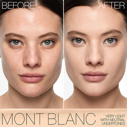 ナチュラル ロングウェア ファンデーション 04788 MONT BLANC
