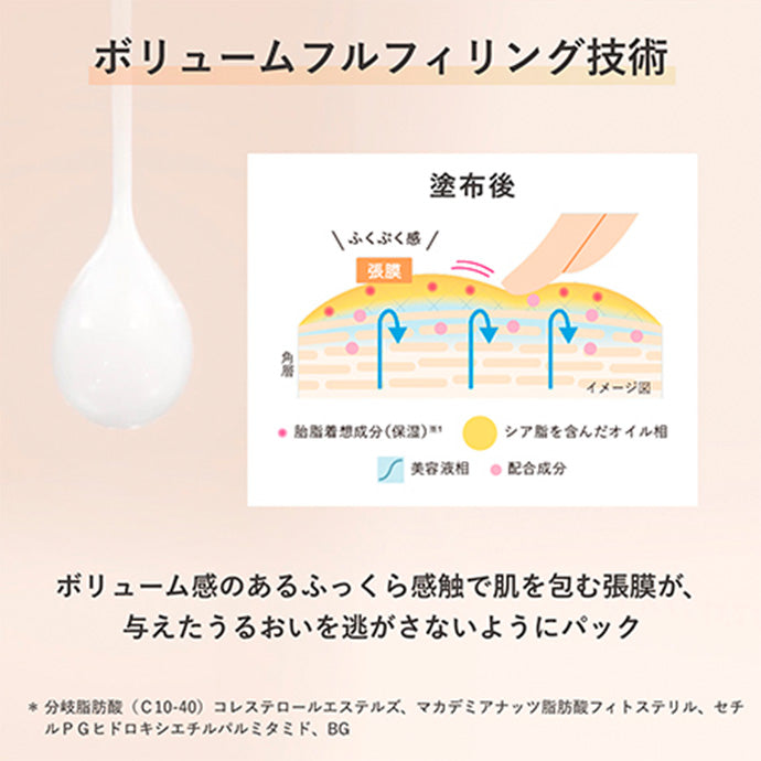 リプレニッシング チャームズ 本体