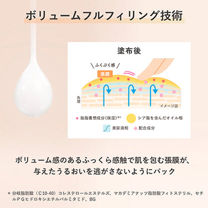 リプレニッシング チャームズ 本体