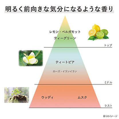 リペアリング エナジーズ 本体