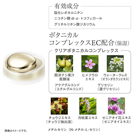 ザ クリーム