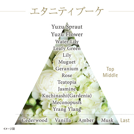 ザ クリーム
