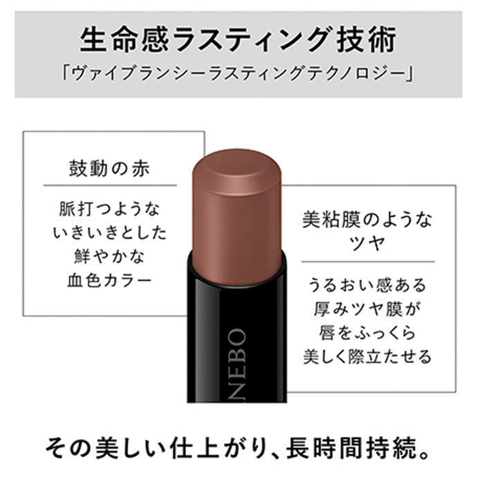 ルージュスターヴァイブラント V13 Earthy Brown