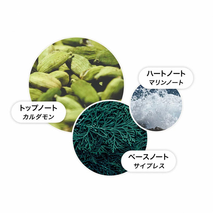サイプレス＆シーフェンネル シャンプー