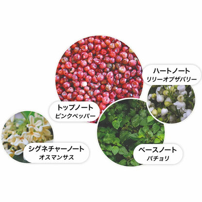 ピンクペッパー オードパルファン フェスティブボーブル