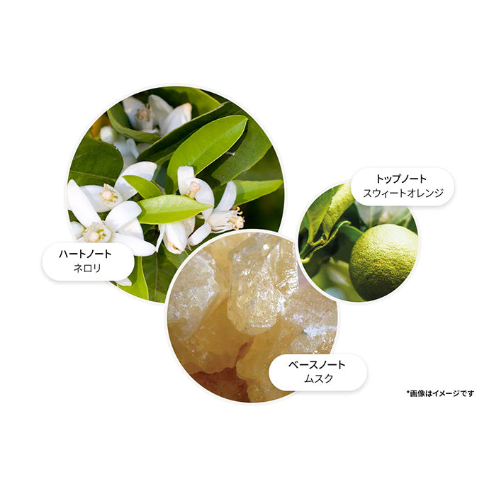 オレンジ&ベルガモット ハンドケア コレクション 300ml×2