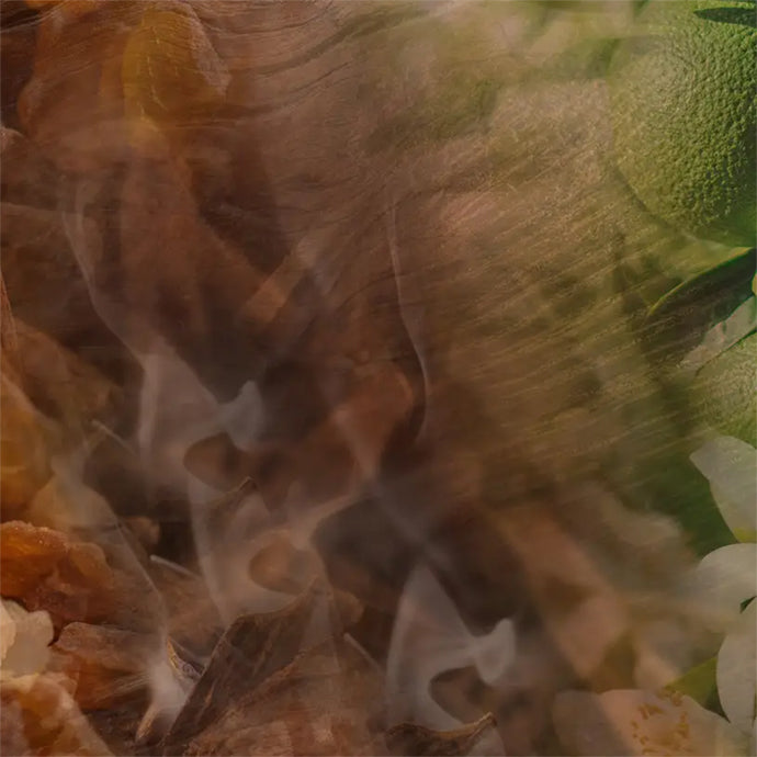 OUD NOBILE〈ウード ノービレ〉ディフューザー リフィル（スティック付き） 500mL (REFILL)