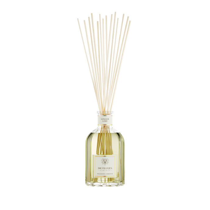 GINGER LIME〈ジンジャー・ライム〉 500nL