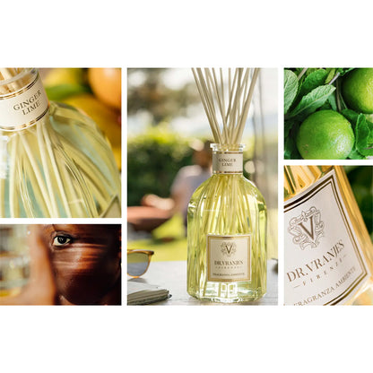 GINGER LIME〈ジンジャー・ライム〉 250mL