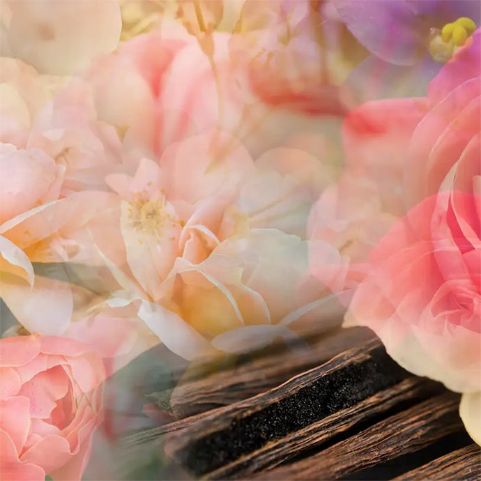 PETALI DI ROSE〈ペタリ ディ ローゼ〉 250mL