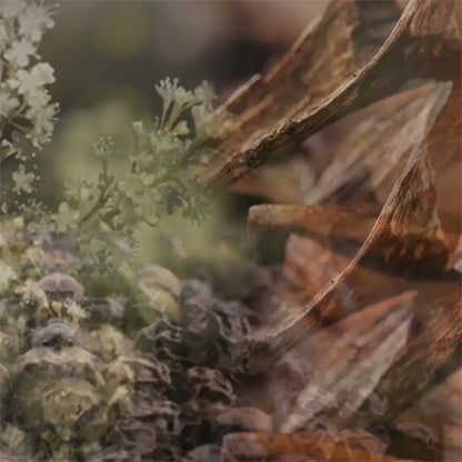 MILANO〈ミラノ〉 250mL