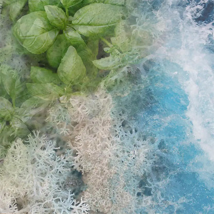 ACQUA〈アクア〉 250mL