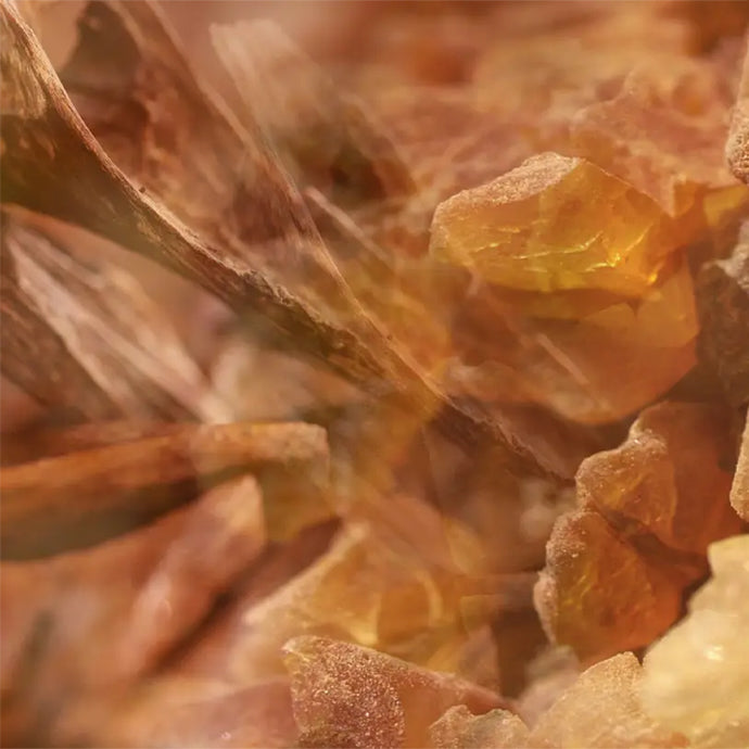 Carparfum Scented Refill〈カーパルファム リフィル〉 AMBRA