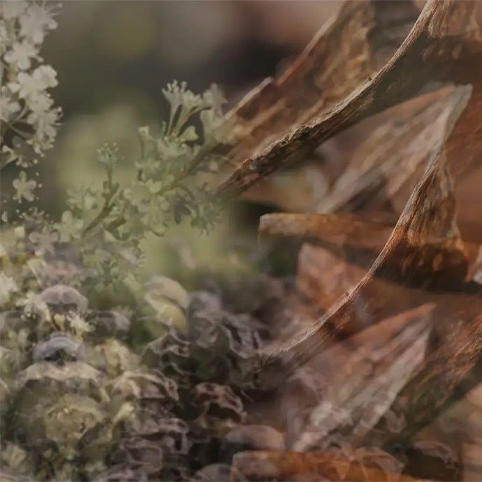 Carparfum Scented Refill〈カーパルファム リフィル〉 MILANO